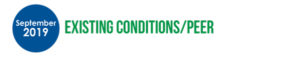 Existing Conditions, Peer, and Preliminary Considerations and Options Report
